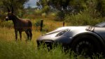 FH5-11.jpg