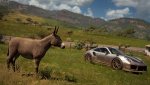 FH5-12.jpg