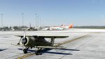 MSFS-135.jpg