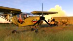 MSFS-242.jpg