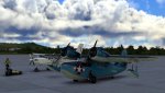MSFS-295.jpg