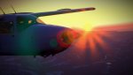 MSFS-339.jpg