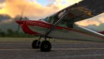 MSFS-440.jpg