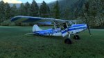 MSFS-479.jpg