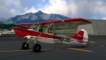 MSFS-482.jpg