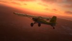 MSFS-609.jpg