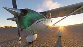 Microsoft Flight Simulator - 1.29.30.0 07.12.2022 22_20_55.png