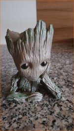 Groot 20230116.jpg