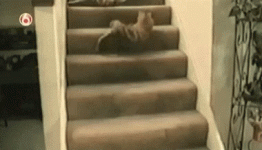 fml-done.gif
