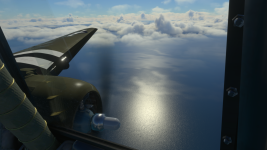 d4192e84-4c5c-4be8-925d-baff7b44b335.png