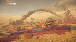 18937a50dc792-screenshotUrl.png