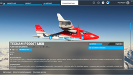 Microsoft Flight Simulator - 1.33.8.0 22.07.2023 12_12_12.png