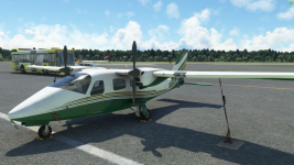 Microsoft Flight Simulator - 1.33.8.0 22.07.2023 12_22_30.png