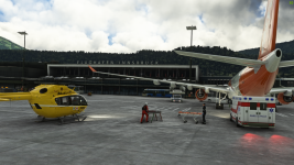 Microsoft Flight Simulator - 1.33.8.0 05.08.2023 13_50_17.png