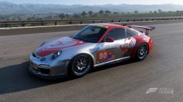 flying lizard 80.jpg