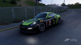 flying lizard 981.jpg