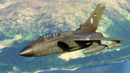 MSFS-1254.jpg