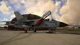 MSFS-1258.jpg