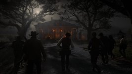 RDR2_2.jpg