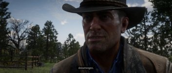 RDR2_3.jpg