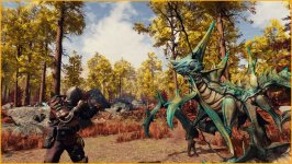 Fight.jpg