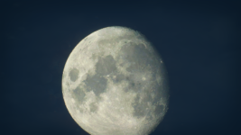 365973c8-98c5-42c1-b1d1-e99a43804358.png