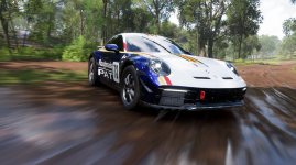 911Rallye.jpg