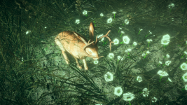 3a0218e7-777d-4542-81ec-f253cea9d9ba.png