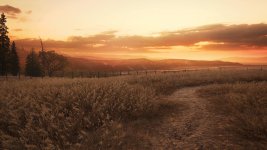 IMG_3437.jpeg