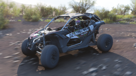 Forza Horizon 5-2025_12_30-00-12-54.png