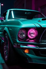 WhatsApp Image 2026-02-11 at 10.46.26.jpeg