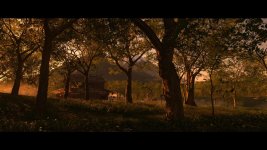 IMG_1400.jpeg