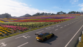 Forza Horizon 6 14.05.2026 16_32_53.png