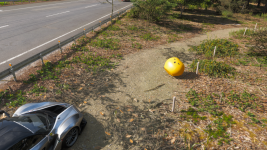 Forza Horizon 6 16.05.2026 20_08_27.png