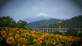 Forza Horizon 6 21.05.2026 16_34_50.png