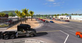 redwood3.jpg