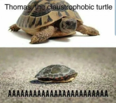 1594988497860.png