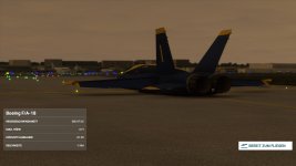 Microsoft Flight Simulator 03.09.2020 19_24_46.jpg
