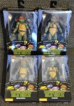 turtles.jpg