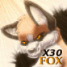 X30 Fox