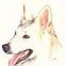 cangodog