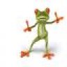leFrog