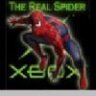 therealspider