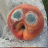 Peachy