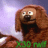 X30 rwlf