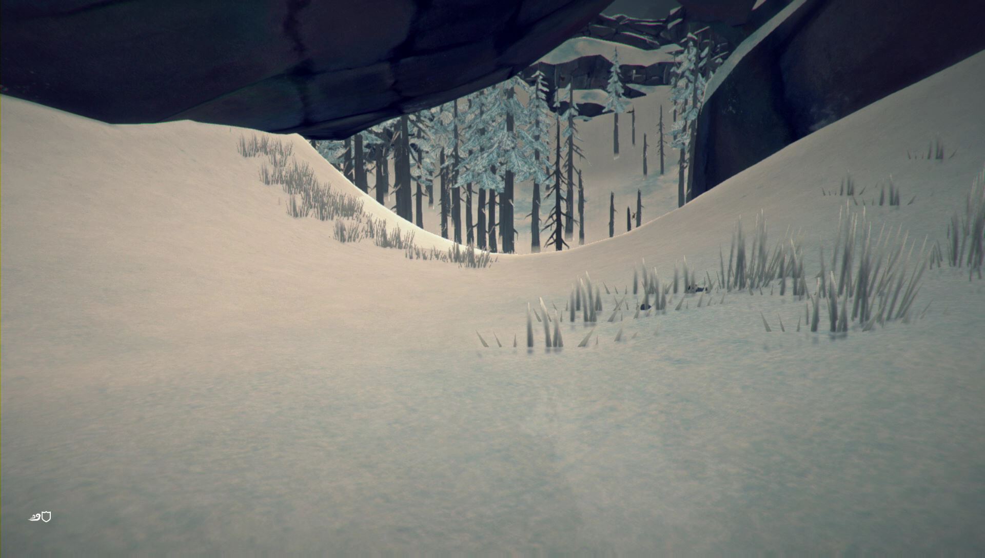 longdark4.jpg