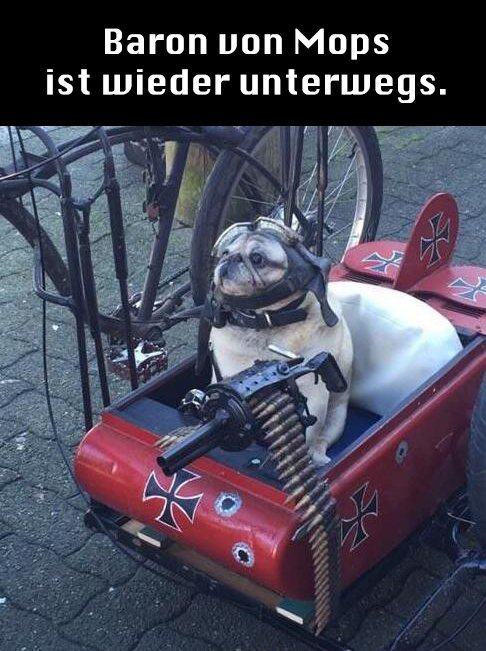 post2.jpg