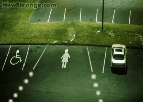 Uoy28.gif