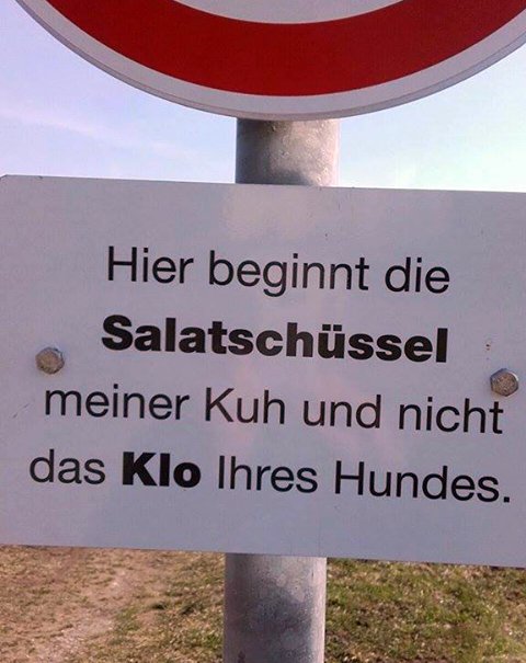 post2.jpg