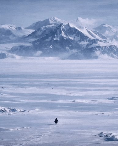 freedom-mountains.gif